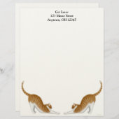 Tabby Cats Letterhead Persoonlijk Briefhoofd (Voorkant / Achterkant)