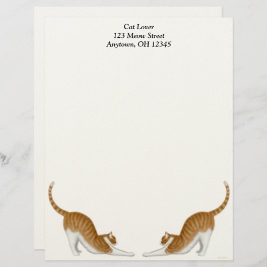 Tabby Cats Letterhead Persoonlijk Briefhoofd (Voorkant / Achterkant)
