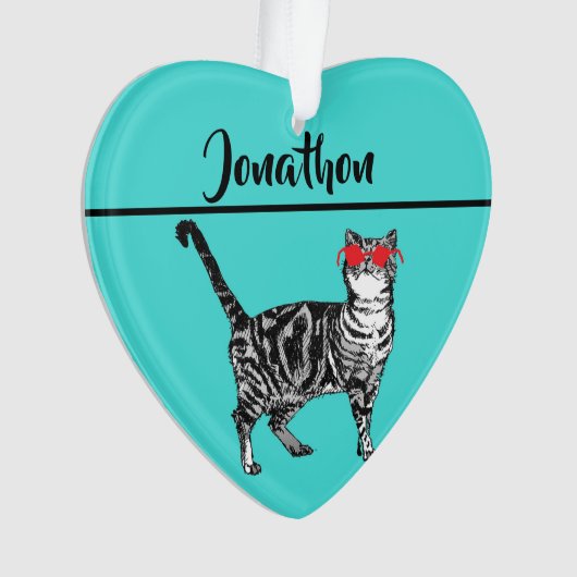 Tabby Cats 'One Cool Cat' Aqua Boys Mannen Ornament (voorkant)