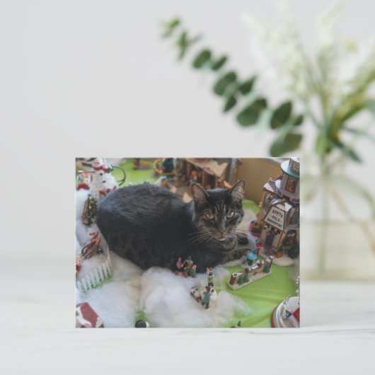 tabby christmas cat briefkaart (Staand voorkant)