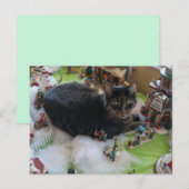 tabby christmas cat briefkaart (Voorkant / Achterkant)