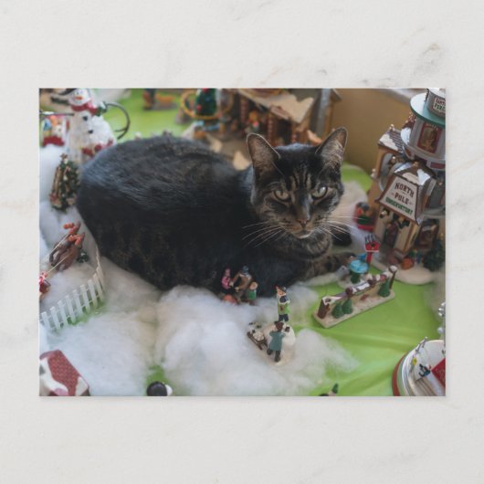 tabby christmas cat briefkaart (Voorkant)