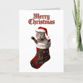 Tabby Christmas Stocking Feestdagen Kaart