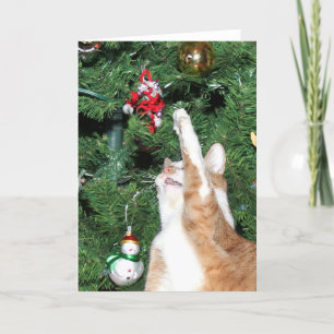 Tabby en kerstboom feestdagen kaart