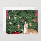 Tabby en kerstboom feestdagenkaart (Voorkant / Achterkant)