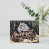 Tabby en Silver Persians Briefkaart (Staand voorkant)