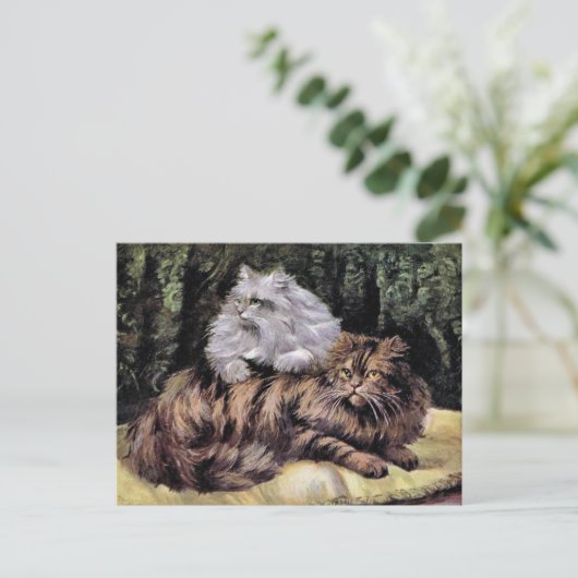 Tabby en Silver Persians Briefkaart (Staand voorkant)