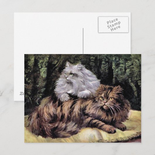 Tabby en Silver Persians Briefkaart (Voorkant / Achterkant)
