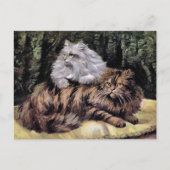 Tabby en Silver Persians Briefkaart (Voorkant)