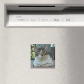 Tabby en White Cat Magnet (Insitu (Vaatwasser))