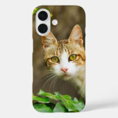 Tabby en Witte kat en jus Case-Mate iPhone Case (Achterkant)
