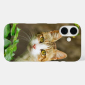 Tabby en Witte kat en jus Case-Mate iPhone Case (Achterkant (horizontaal))
