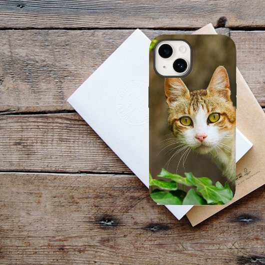 Tabby en Witte kat en jus Case-Mate iPhone Case