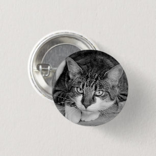 Tabby en witte kat ronde button 3,2 cm