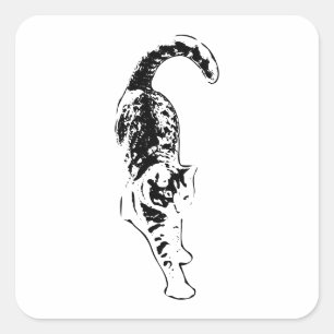 Tabby Flow-Sticker Vierkante Sticker