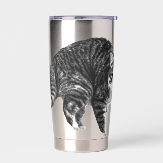 Tabby Glow by Winter Window Geïsoleerde Drinkbeker (Links)