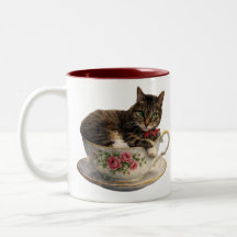 Tabby in een theekopje