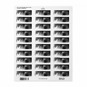 Tabby kat adresetiketten etiket (Full Sheet)