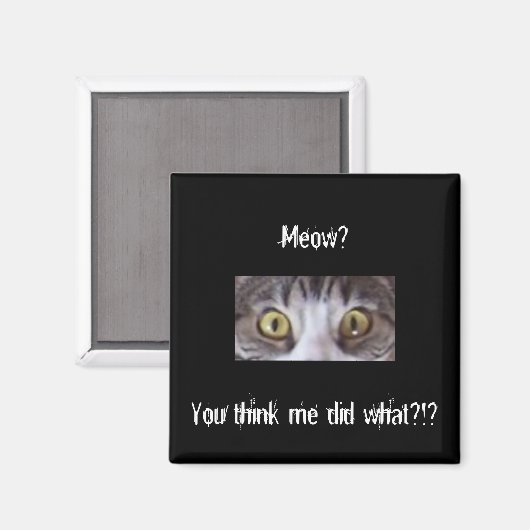 Tabby kat brede ogen magneet (Voorkant / Achterkant)