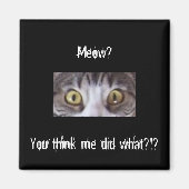 Tabby kat brede ogen magneet (Voorkant)