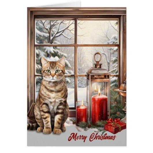 Tabby kat en kaarsen in de winter raam kerst (Voorkant)