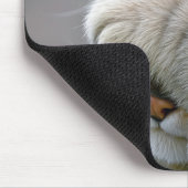 Tabby Kat Humor Muismat (Hoek)