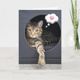 Tabby kat in doos voor het denken aan u kaart