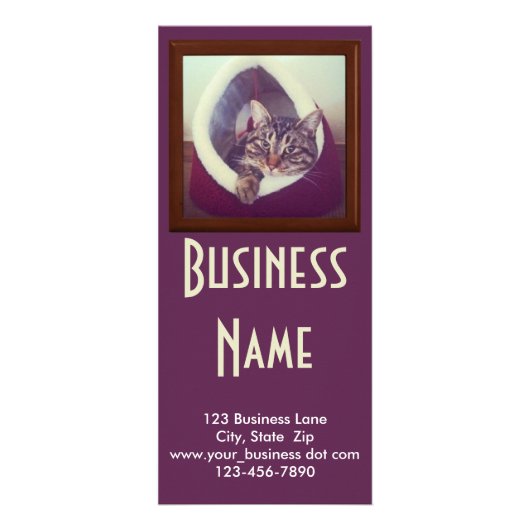 Tabby Kat in Hut Photo Animal Pet Care Service Reclamekaart (Voorkant)