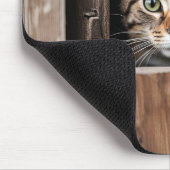 Tabby kat in schuur deur gat muismat (Hoek)