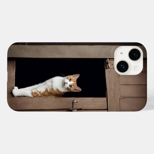 Tabby kat in Shed Doorway Case-Mate iPhone Case (Achterkant (horizontaal))