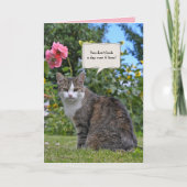 Tabby kat in tuin verjaardag kaart (Voorkant)