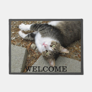 Tabby kat Je vond me deurmat