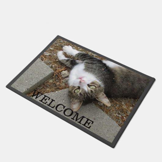 Tabby kat Je vond me deurmat (Schuin)