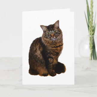 Tabby Kat Kaart - Blanco Binnenkant