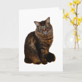 Tabby Kat Kaart - Blanco Binnenkant (Gele Bloem)