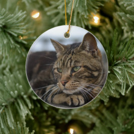 Tabby kat klaar voor actie keramisch ornament