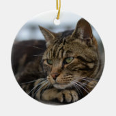 Tabby kat klaar voor actie keramisch ornament (Voorkant)