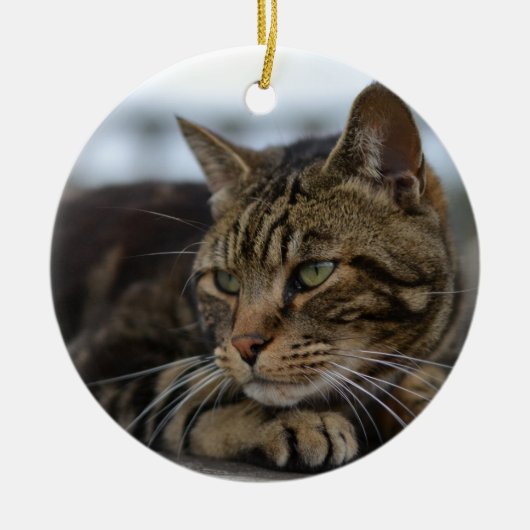 Tabby kat klaar voor actie keramisch ornament (Voorkant)