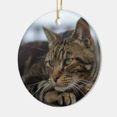 Tabby kat klaar voor actie keramisch ornament (Links)
