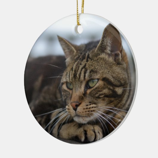 Tabby kat klaar voor actie keramisch ornament (Links)