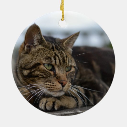 Tabby kat klaar voor actie keramisch ornament (Achterkant)