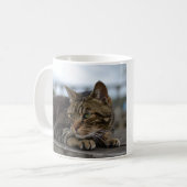 Tabby kat klaar voor actie koffiemok (Voorkant links)