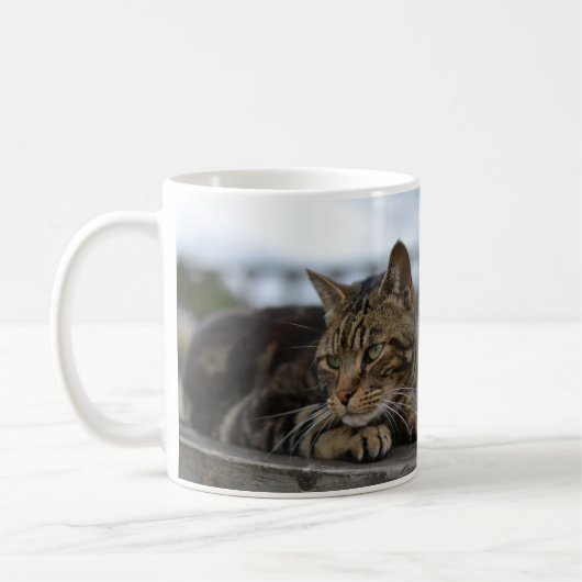 Tabby kat klaar voor actie koffiemok (Links)