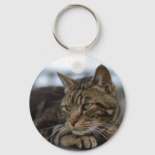 Tabby kat klaar voor actie sleutelhanger