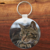 Tabby kat klaar voor actie sleutelhanger (Voorkant)