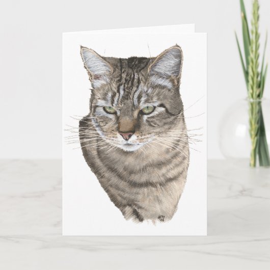 Tabby Kat Kop Studie Groet Kaart (Voorkant)