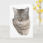 Tabby Kat Kop Studie Groet Kaart (Gele Bloem)