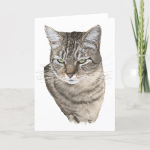 Tabby Kat Kop Studie Groet Kaart