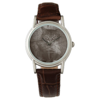 Tabby Kat Loungen Buiten, Grunge Horloge