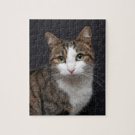 Tabby kat met groene ogen tegen zwarte achtergrond legpuzzel